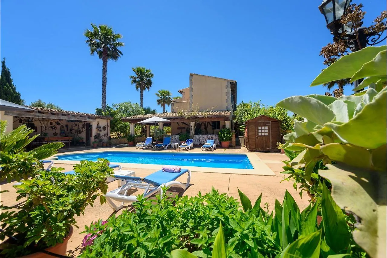 Finca Alegra Villa Manacor   Manacor (Mallorca)